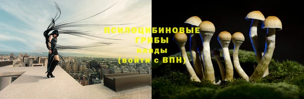 первитин Белоозёрский