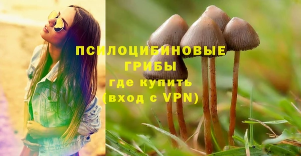 первитин Белоозёрский