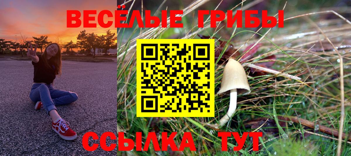 Псилоцибиновые грибы Psilocybe  Вход с VPN  Саяногорск  Псилоцибиновые грибы MAGIC MUSHROOMS 
