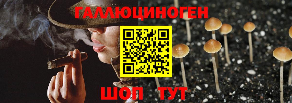 Галлюциногенные грибы GOLDEN TEACHER Саяногорск